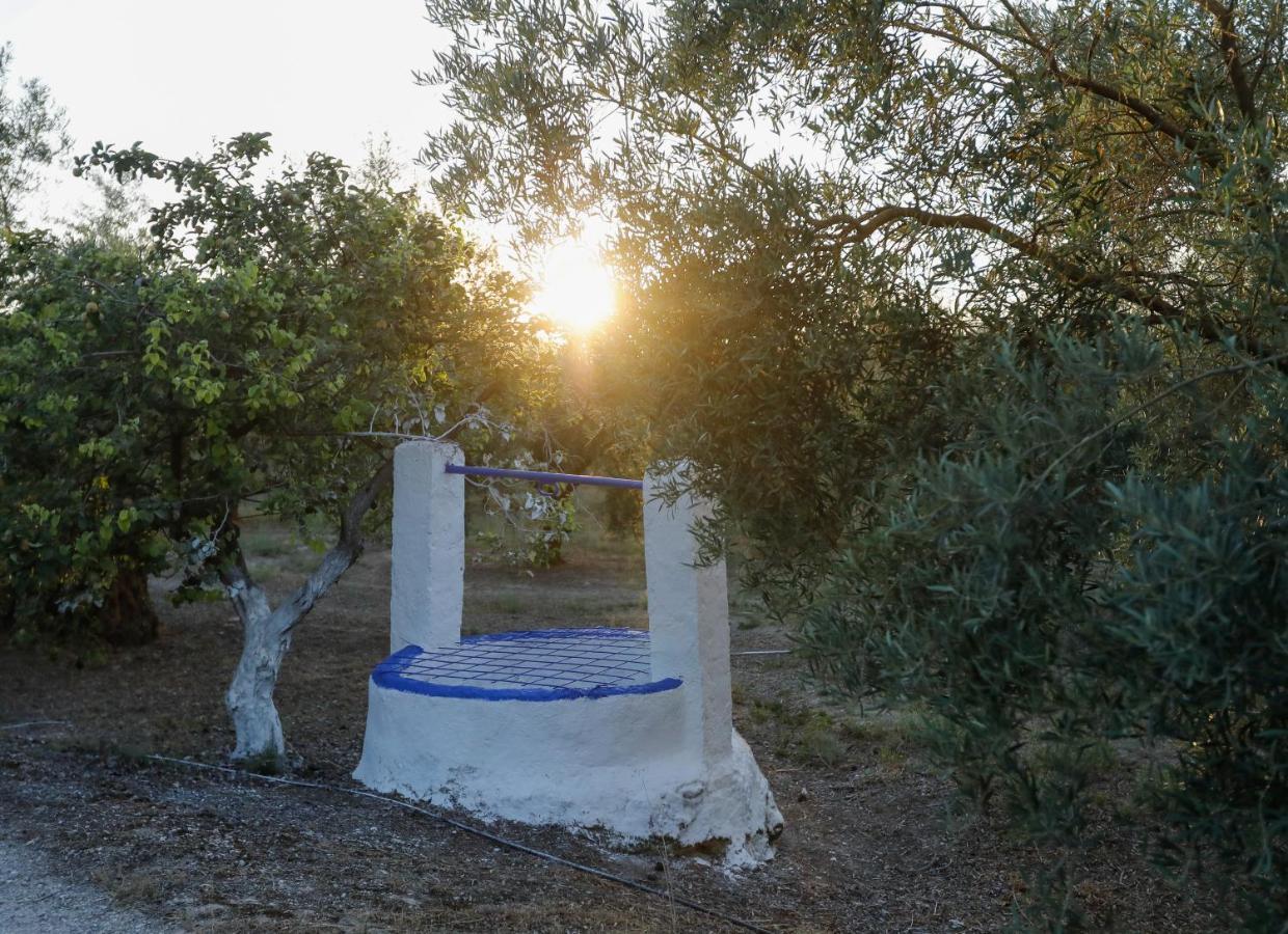 Вілла Cortijo Botanico El Cerro Кабра Екстер'єр фото