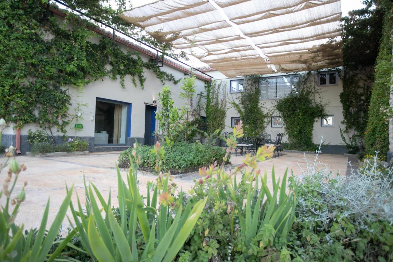 Вілла Cortijo Botanico El Cerro Кабра Номер фото