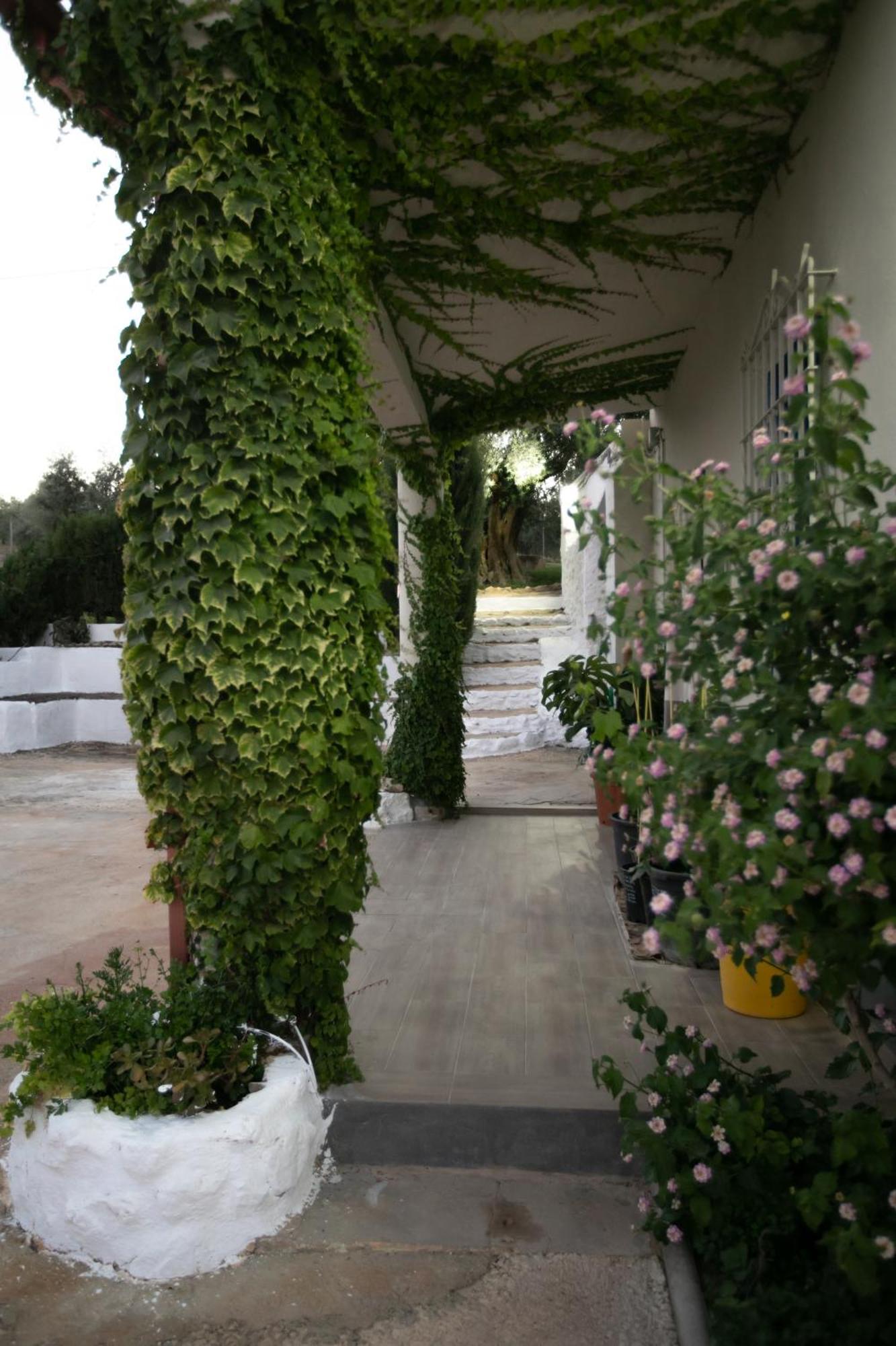 Вілла Cortijo Botanico El Cerro Кабра Номер фото